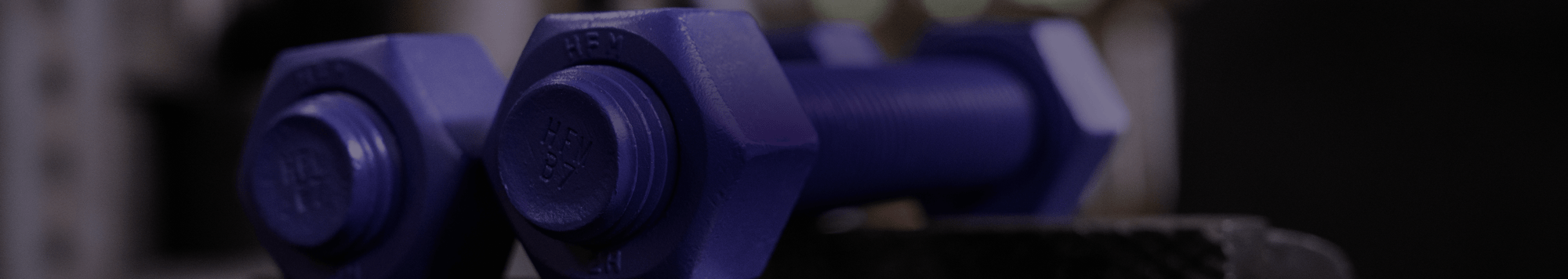 PROTINN purple bolts for better torque loads