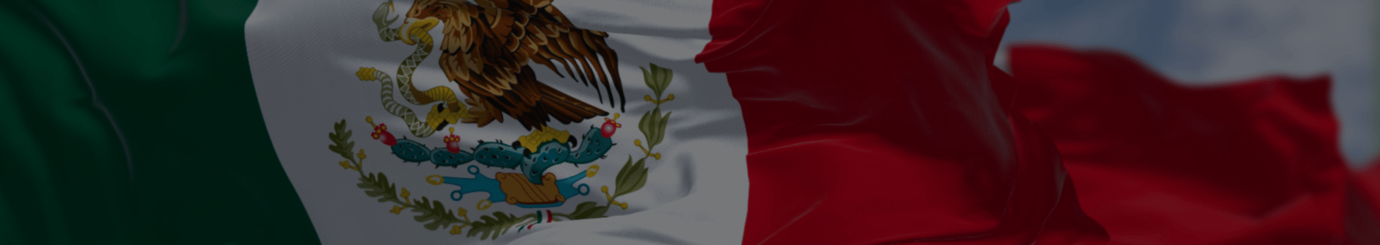 Mexico flag